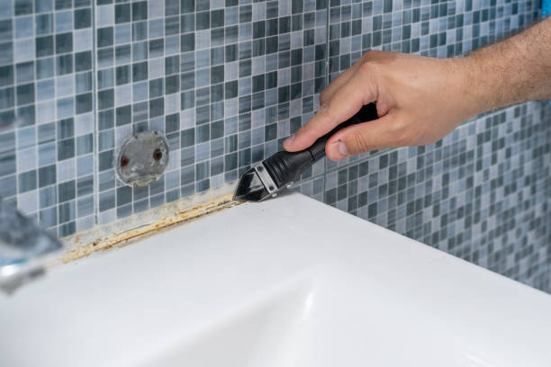 Best Mold Testing  in Colona, IL